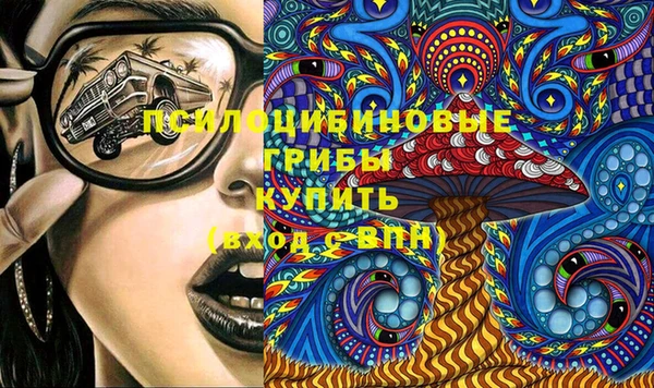 ГАЛЛЮЦИНОГЕННЫЕ ГРИБЫ Аркадак