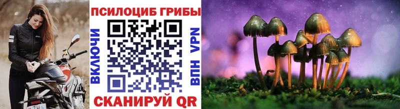 Купить закладки  Вуктыл  Псилоцибиновые грибы прущие грибы 